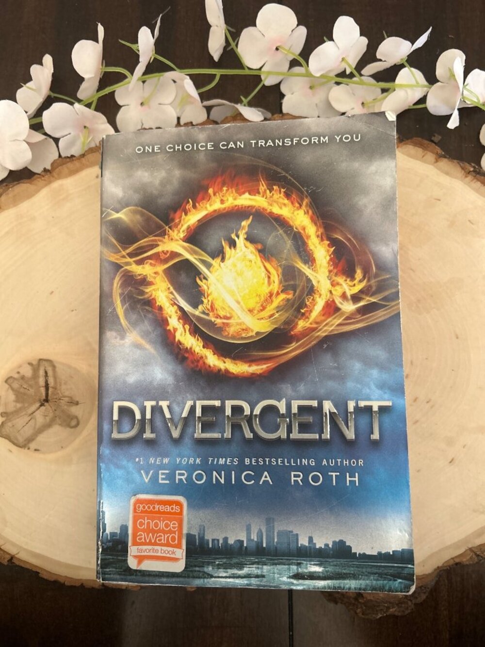 Divergent by Veronica Roth Paperback First Edition 2012 Dystopian Novel